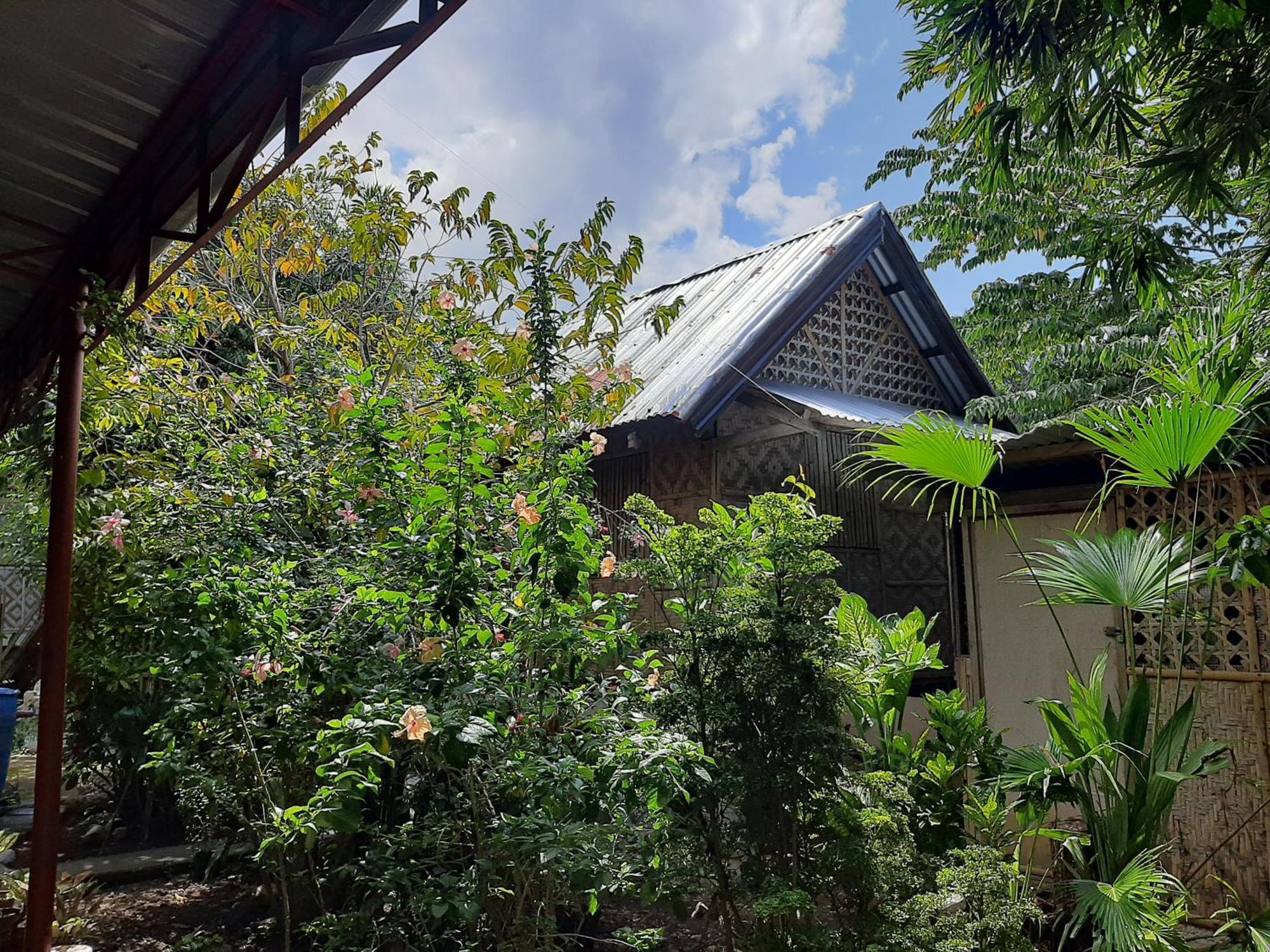 Alimpay Foresters Apartment Panglao Eksteriør billede